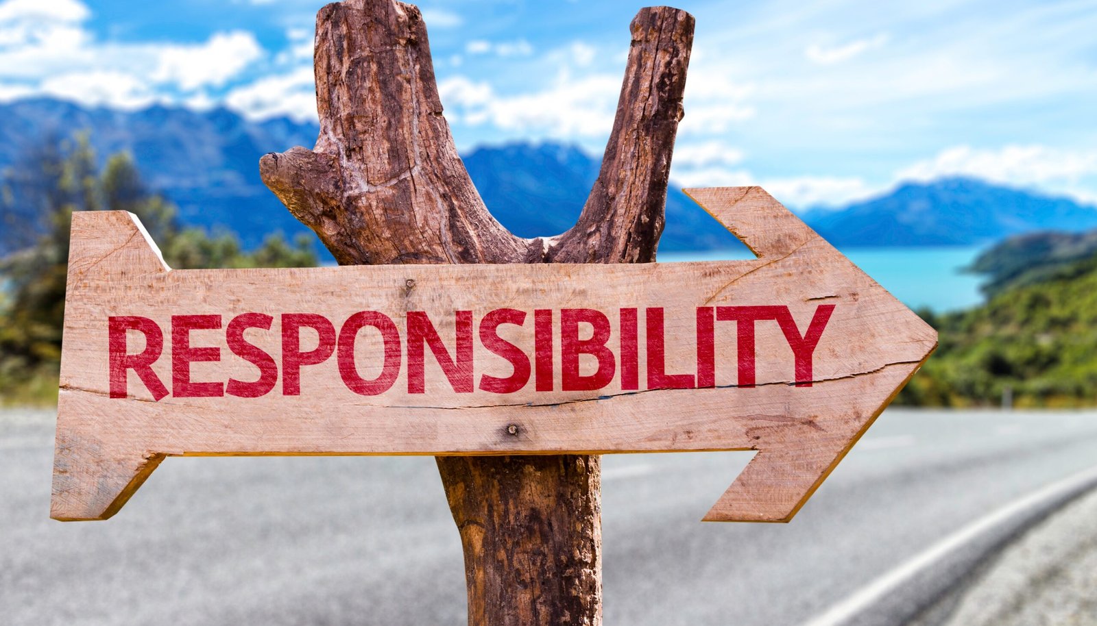 Achiever Award Council